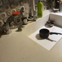 استخدام خدمتکار خانم برای منزل