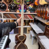 تار دو مهر استاد رضا شکوهمند|سازهای سنتی|رباط‌کریم, رباط‌کریم|دیوار