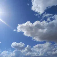 جویای  کار هستم