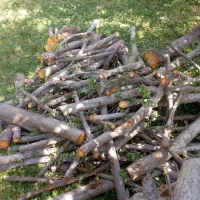 خرید ضایعات وانواع چوب