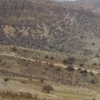 کارگر جهت کار کشاورزی