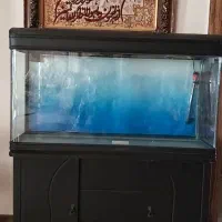آکواریوم شرکتی همراه با کمد