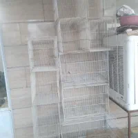 قفس،قفس پرنده عروس هلندی|لوازم جانبی حیوانات|مشهد, میان ولایت|دیوار