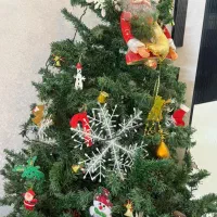 درخت کریسمس