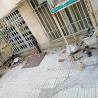 دفتر وکالت روبه روی دادگستری و کلانتری شفا|اجارهٔ دفتر کار، اتاق اداری، مطب|مشهد, گلبرگ|دیوار