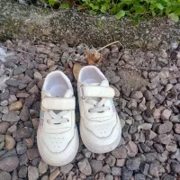 کفش وچکمه بچه گانه|کفش و لباس بچه|لاهیجان, گلستان|دیوار