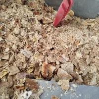 نان خشک برای دام
