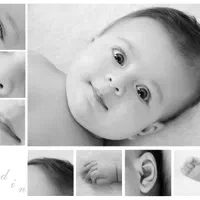 آتلیه عکاسی کودک نوزاد تعیین جنسیت|خدمات پذیرایی، مراسم|مشهد, رضاشهر|دیوار