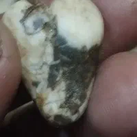 مجموعه ای ازسنگهای قیمتی|جواهرات|مراغه, |دیوار