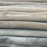 چوب|ابزارآلات|میاندوآب, |دیوار