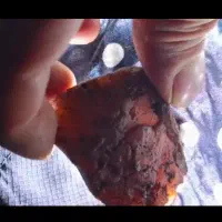 شهاب سنگ مریخی کمیاب ویکی سنگی فلزی