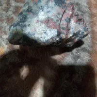 سنگهای راف معدنی شجر که کاملا در حال رشده