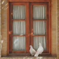 تدریس زبان انگلیسی خانم