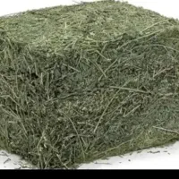 یونجه