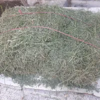 یونجه،کاه،کنسانتره