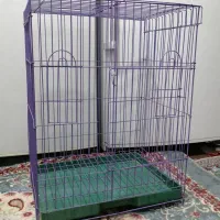 قفس طوطی سانان|لوازم جانبی حیوانات|شیراز, سعدیه جنوبی|دیوار