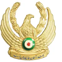 این مدال هستم نیرو هوایی