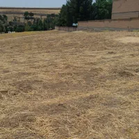 فروش زمین ۱ هکتار|فروش زمین و ملک کلنگی|چگنی, |دیوار