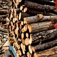 هیزم شومینه ای