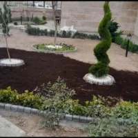 خدمات باغبانی وهرس کردن|خدمات باغبانی و درختکاری|مشهد, توس (بلوار توس)|دیوار