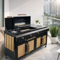 باربیکیو 160 / سینک دار / پلوپزدار / گازی/ زغالی