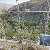 باغچه جاده چالوس روستای کندر|فروش خانه و ویلا|کرج, بیلقان|دیوار