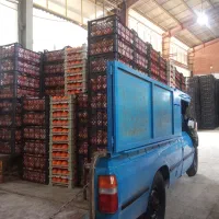 اسباب کشی وبابری،برون شهری|خدمات حمل و نقل|ایلام, |دیوار