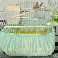 یک جفت فنچ نرگسی نسکافه ایی|پرنده|سمنان, |دیوار