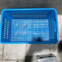 کلا سبد|ظروف نگهدارنده، پلاستیکی، یک‌بارمصرف|شیراز, ابیوردی|دیوار