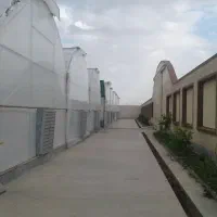 شرکت گلخانه سازان ژیانا آوین آژین زاگرس|خدمات باغبانی و درختکاری|سنندج, |دیوار