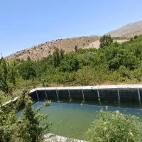 باغ سپیدان
