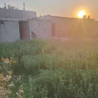 نیازمند سرمایه گذار|مشارکت در ساخت املاک|شیراز, ارم|دیوار