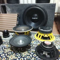 آمپیلی . میدرنج