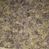 کشمش|خوردنی و آشامیدنی|کرج, عظیمیه|دیوار