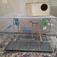 یک عدد قفس پرنده نسبتا بزرگ درحد نو