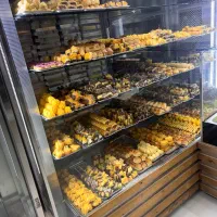 راننده و ویزیتور