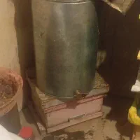 زنبور داری فوری