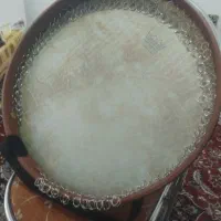 دف نو نو نو