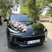 گل عروس|گل و گیاه طبیعی|خمینیشهر, |دیوار