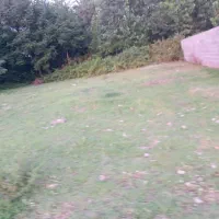 ۲۵۰مترزمین باغی داخل طرهادی
