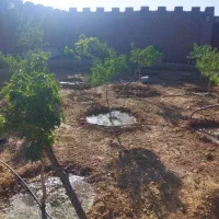 خانه-باغ