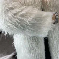 کت پشمی با کلاه و شال گردنی