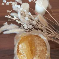 عسل طبیعی دیار  ، فروش به صورت کلی و جزئی|خوردنی و آشامیدنی|رشت, توشیبا|دیوار