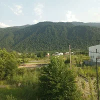 زمین 218 متری جنگلی مالکم نوشهر