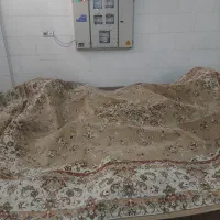 فرش نگین مشهد بسیار پر تراکم