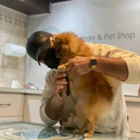 استخدام فروشنده و منشی دامپزشکی و پت شاپ