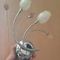 آپاژور خارجی