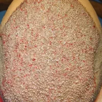 کاشت مو پرتراکم