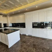 اجاره آپارتمان ۳۰۰ متر برج اصیل نشین|اجارهٔ آپارتمان|تهران, کامرانیه|دیوار