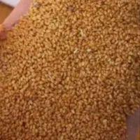 کاملینا بوجاری شده مخصوص بذری